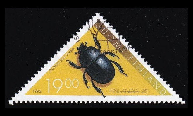 1292 o Kovakuoriainen EPL (1995)