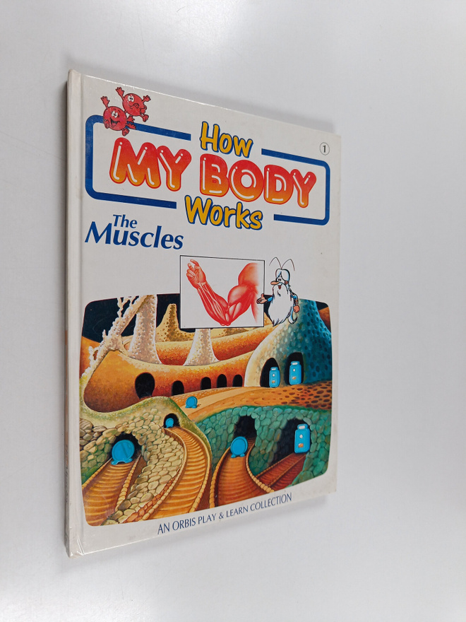 How my body works : the muscles