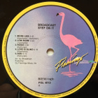 Broadcast – Step On It (LP) - pikkukuva 4