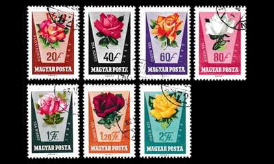 Unkari 1856-62 o Ruusuja (1962)