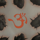 Sri Hari: One But Different CD - pikkukuva 3