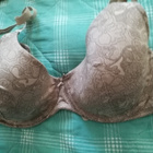 Beesit puuteri kuvio rintaliivit rintatukikaarella 80 F - pikkukuva 1
