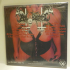 ANAL BLASPHEMY - PERVERSIONS OF SATAN M-/M- LP - pikkukuva 2