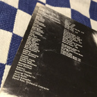 Laurie Kaye Cohen Under The skunk Us lp 1973 - pikkukuva 3