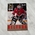 1993-94 Leaf Gold Leaf All Stars Felix Potvin / Ed Belfour - pikkukuva 2