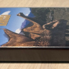 Matkalla dinosaurusten kanssa (2DVD) puhuttu suomeksi - pikkukuva 3