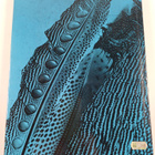 Wolf Strache : Forms and Patterns in Nature - pikkukuva 2