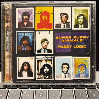 SUPER FURRY ANIMALS - Fuzzy Logic cd