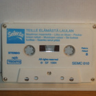 Esko Rahkonen C-kasetti Teille Elämästä Laulan - pikkukuva 4