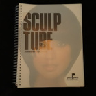 PIVOT POINT, Sculp ture - pikkukuva 1