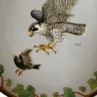 Seinälautanen "muuttohaukka" Ø25cm, Heinrich Villeroy & Boch - pikkukuva 3