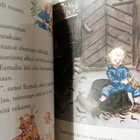 Astrid Lindgren - Se Eemeli, se Eemeli - Uusi laitos - pikkukuva 4