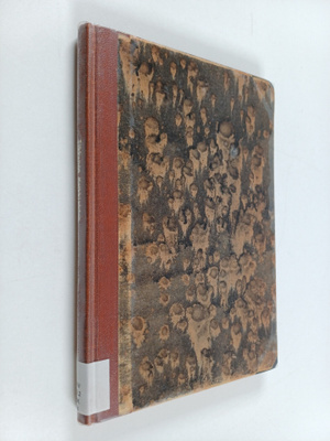 Eino Tikkanen : Kaikki virtaa : sonetteja