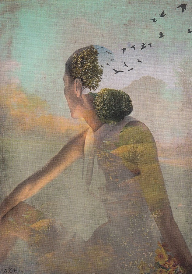 Catrin Welz-Stein: Kesäunelma