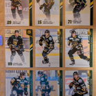Ilves -pelaajien kortteja 40 kpl erivuosilta (sis. 3 erikois - pikkukuva 4