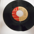 DANYEL GERARD 7" Vinyyli TIMES ARE CHANGING v. 1978. - pikkukuva 2
