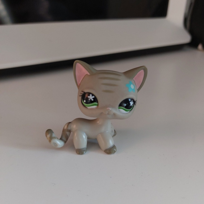 Lps seisovakissa Kukka otsa, AITO