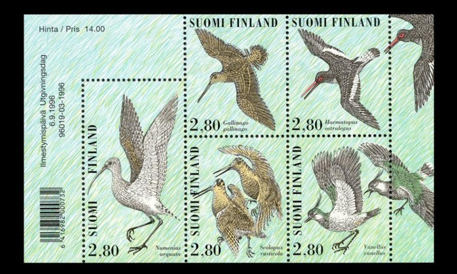 1347-51BL17 ** Kahlaajalintuja blokki (1996)