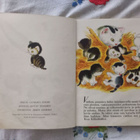 Kisu Killisilmä 1. painos 1952 - pikkukuva 3