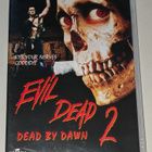 Evil Dead II (n2) - pikkukuva 1