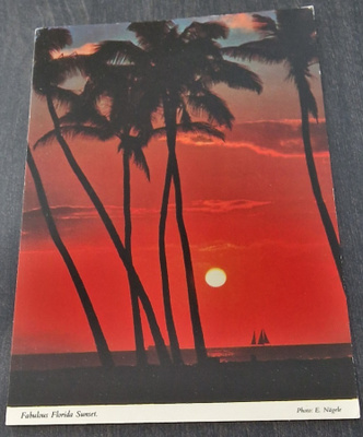 FABULOUS FLORIDA SUNSET