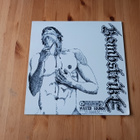 Reign Of Bombs / Bombstrike lp 2006 Hardcore, Punk nm - pikkukuva 2
