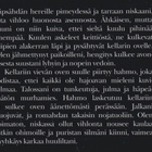 Ritva Sorvali (toim.): Näkymätön vihollinen - pikkukuva 3