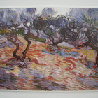 pk Vincent van Gogh Olive Trees  taidepostikortti - pikkukuva 1