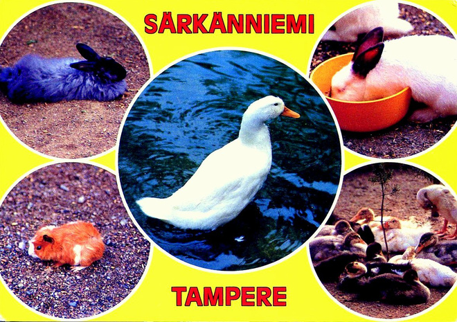 SÄRKÄNNIEMI, TAMPERE  käyttämätön