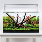 Uniikki akvaariojuurakko 51 cm | S4212623 - pikkukuva 2