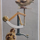 Tipu punnitaan - mainioksi havaitaan, p, 1906 Suomeen - pikkukuva 1