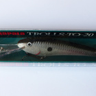 RAPALA "TROLLS-TO-20" 11cm, 18g Väri: S Silver - pikkukuva 1