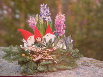 Tontut ja hyasintit