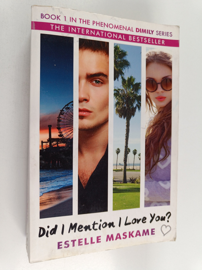 Estelle Maskame : Did I mention I love you?
