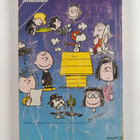Charles M. Schulz : Tenavat juhlatuulella - pikkukuva 2