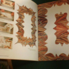 Medeiros: MARBLING TECHNIQUES (marmorointi tekniikat) Sis.pk - pikkukuva 2