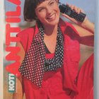 KOTI ANTTILAN PAKSU POSTIMYYTIKUVASTO KEVÄT/KESÄ 1996 - pikkukuva 1