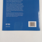 Stationery Office (Great Britain) ym. : Executive guide t... - pikkukuva 2