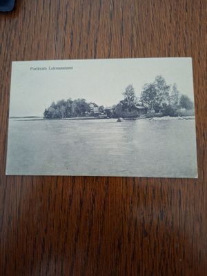 8 Parikkala Lehmusniemi