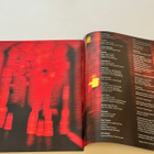 Soundgarden – Superunknown (2xLP + liite) - pikkukuva 4