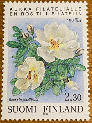 JÄRJESTÄYTYNYT FILATELIA 100 VUOTTA SUOMESSA**