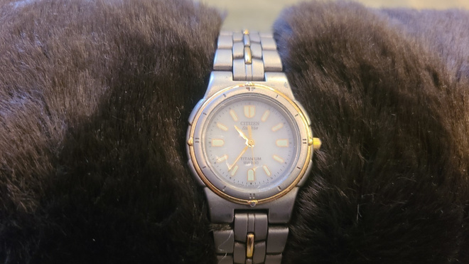 Citizen Eco-Drive Titaani WR100