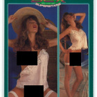 1997 Hot Shots Galaxy of Sex Superstars #17 Paula Price - pikkukuva 1