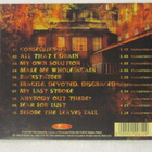 Ironica • Consequences CD - pikkukuva 3