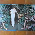 Cerrone – Cerrone 3 - Supernature (rare disco cheesecake LP) - pikkukuva 3