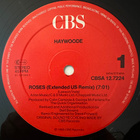 [12''] HAYWOODE: ROSES (Extended US remix) - pikkukuva 3