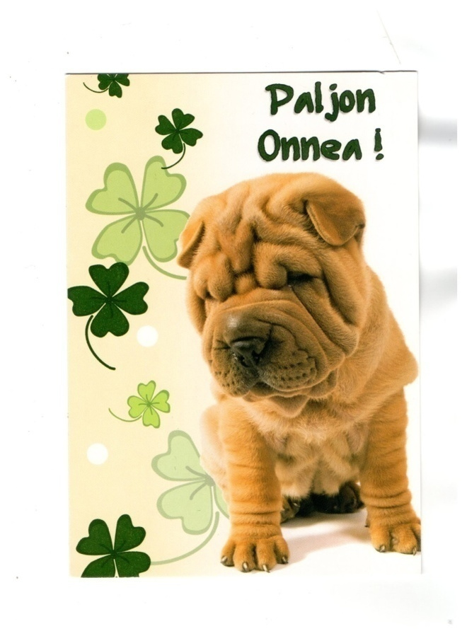 KOIRA ...°°PALJON ONNEA°° -KORTTI /Papron