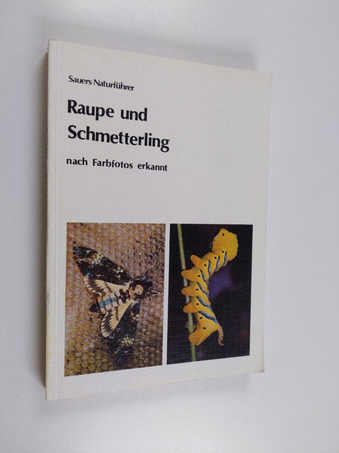 Frieder Sauer : Raupe und Schmetterling - nach Farbfotos ...