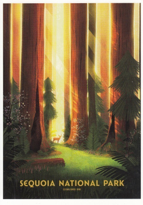 Sequoia National Park (postikortti)
