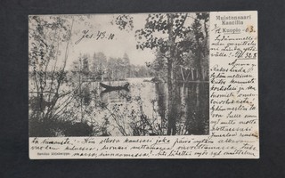 KUOPIO Muistonsaari Kaavilla 1903